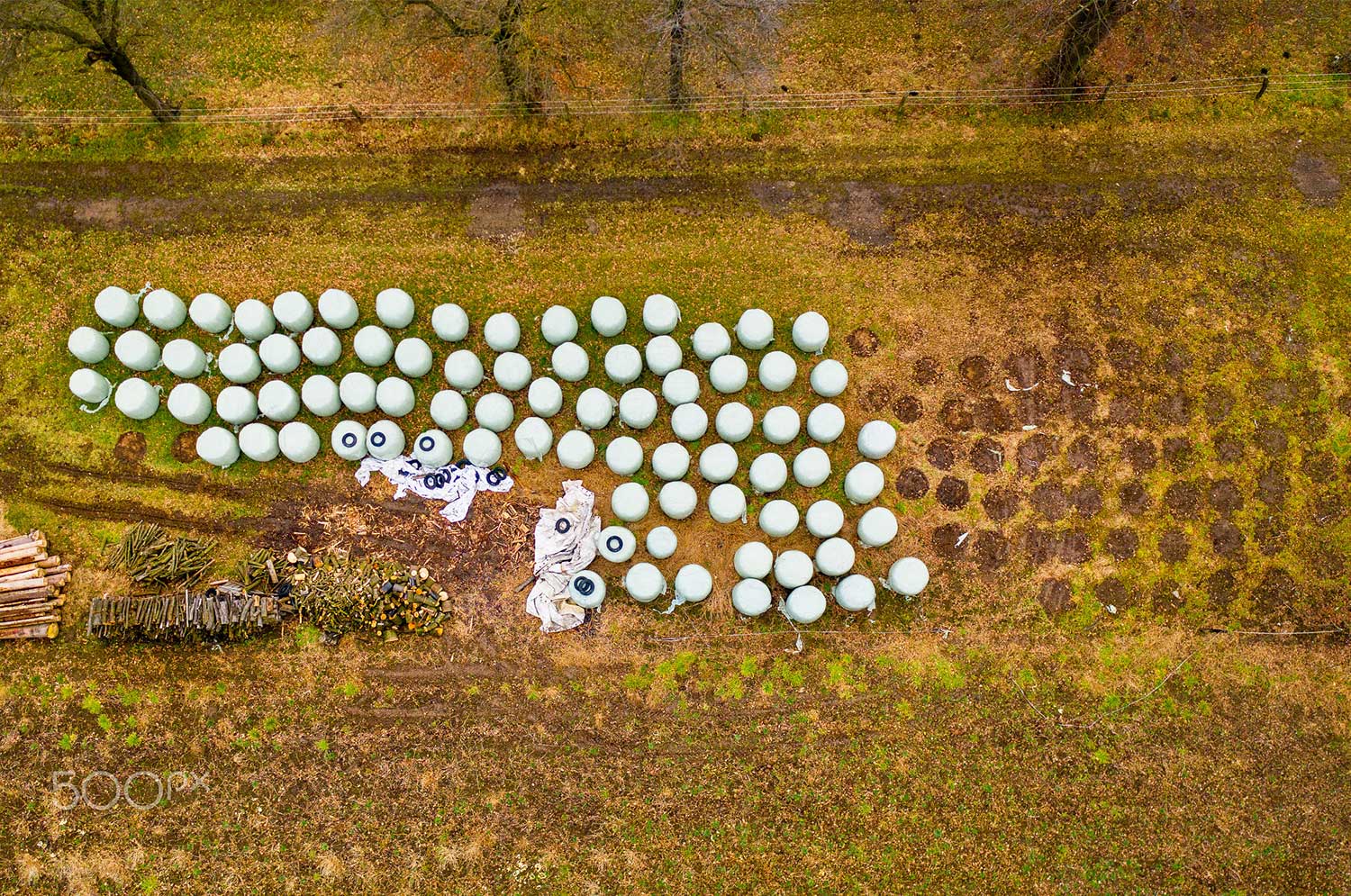 Silage bales