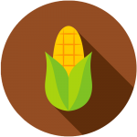 maize icon colored